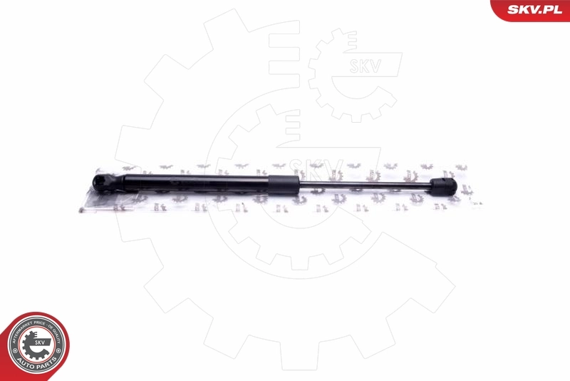 Gas Spring, boot/cargo area